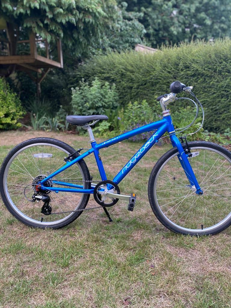 ridgeback 24 dimension